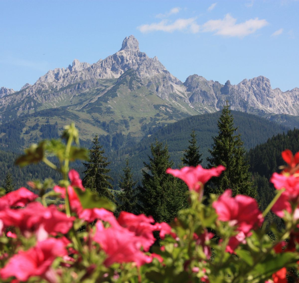 Blick auf die Bischofsmütze mit Bliumen im Vordergrund