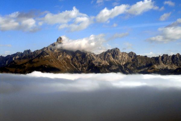 Appartements Richlegghof - Berge und Bauernhof eine perfekte Kombination um Natur zu erleben