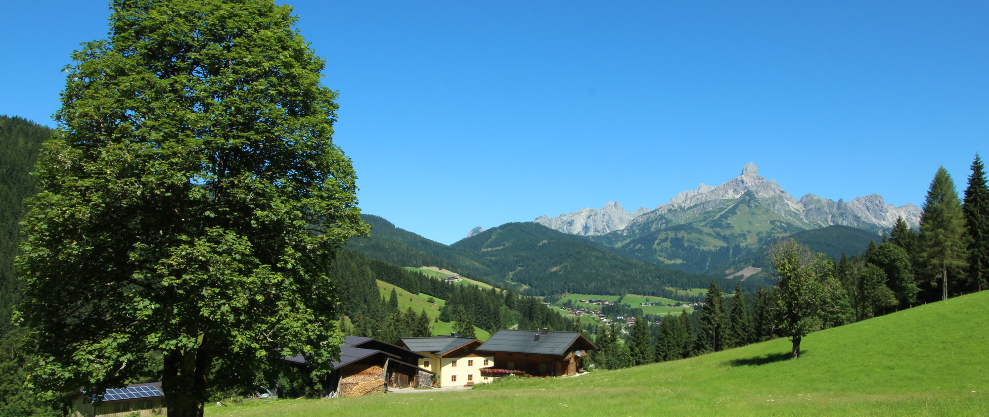 Appartements Richlegghof Sommerurlaub am Bauernhof mit unvergleichlich schönem Panorama